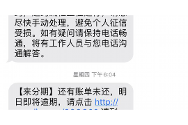 庆元专业催债公司的市场需求和前景分析